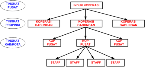 Manajemen Koperasi Adalah Pengertian Konsep Struktur Dan Perangkat