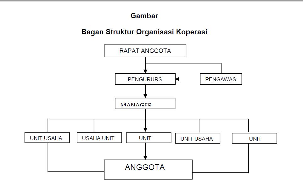 Struktur Organisasi Koperasi adalah